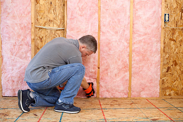 Best Attic Insulation Installation  in Vla Park, IL